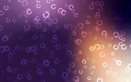 ブログのアイキャッチ画像