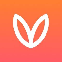 ブログのアイキャッチ画像