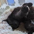 記事のアイキャッチ画像