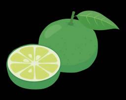 ブログのアイキャッチ画像